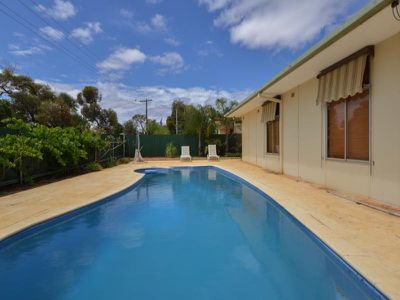 87 Killarney Street, Lamington