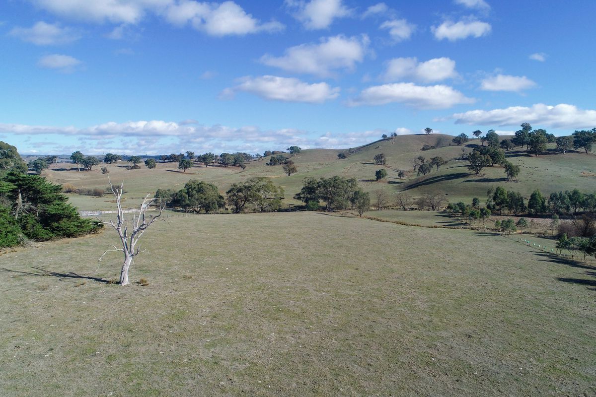 257 Merton-Strathbogie Road, Merton