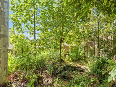 62 SURF BEACH AVENUE, Surf Beach