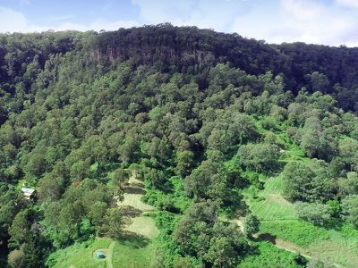 154 Tuntable Creek Road, The Channon