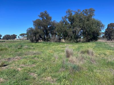 1 Lake Endeavour Road, Parkes