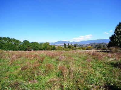 2492 Gundowring Road, Upper Gundowring