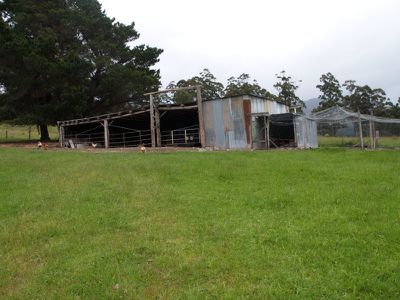 230 Police Point Road, Glendevie