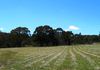 101 Strathnook Lane, Orange