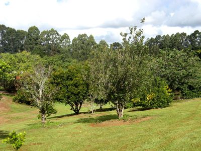 38 Flaxton Mill Road, Flaxton