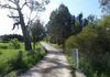 225 Favell Road, Orange
