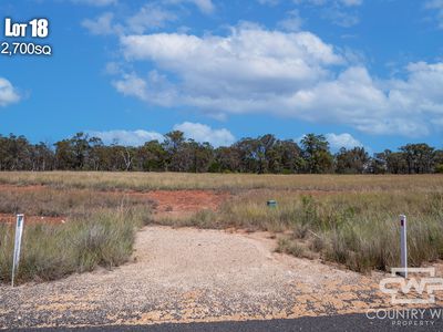 18 Hunt Place, Emmaville