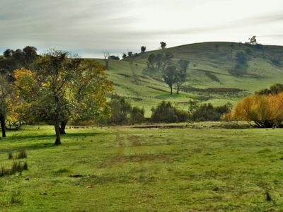Lot 2, 101 Mcfarlanes Road, Granya
