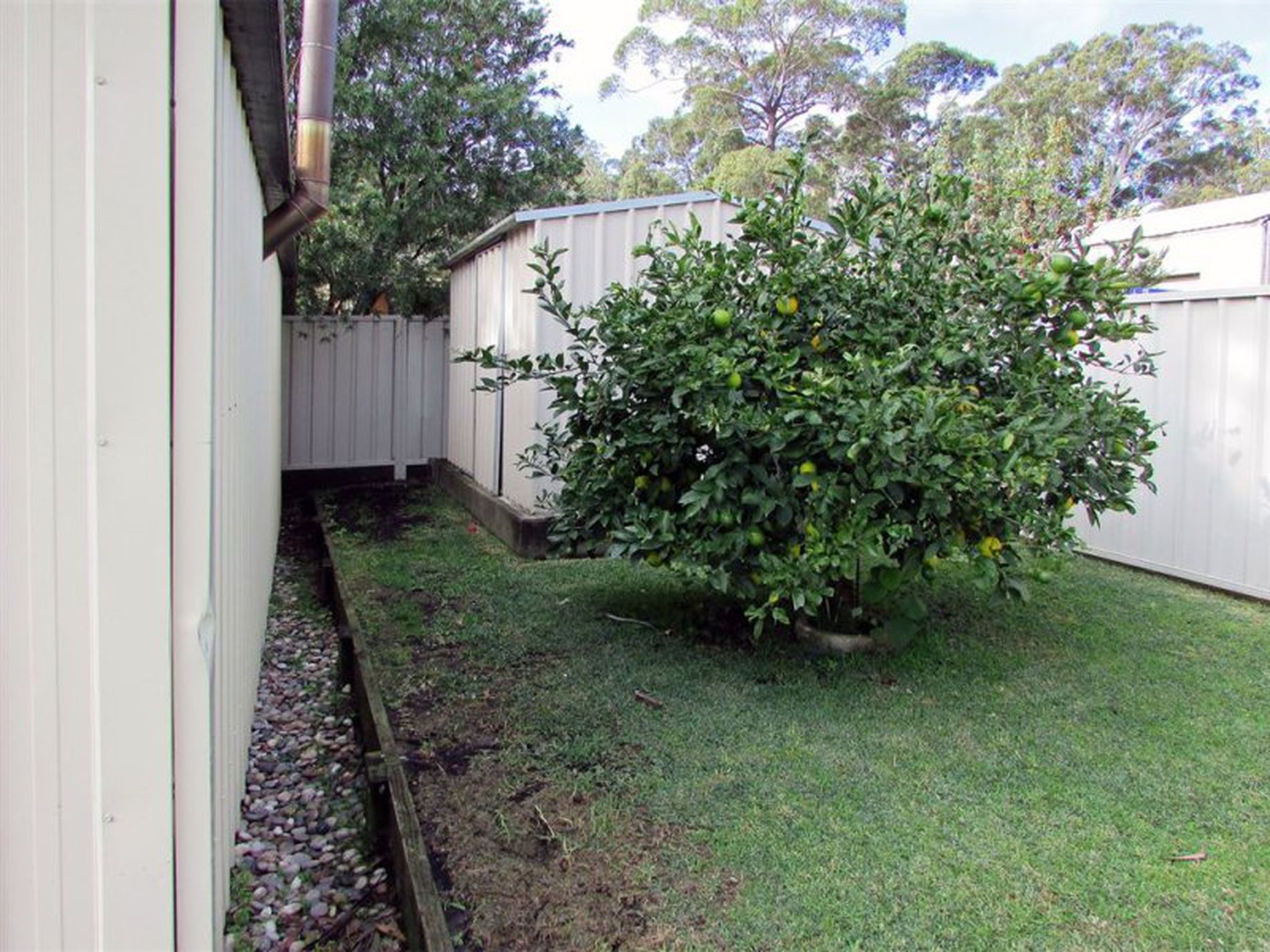 19 George Avenue, Kings Point