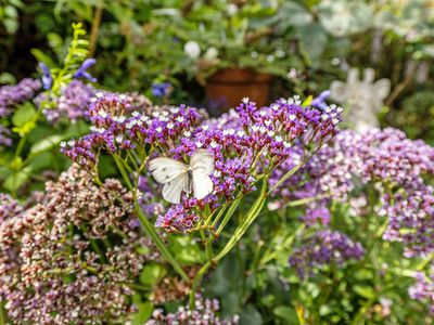 6 Ponting Street, Tatura