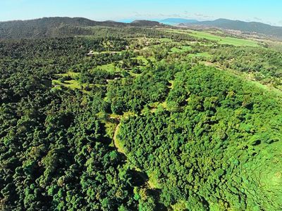 461 Sugarloaf Road, Riordanvale