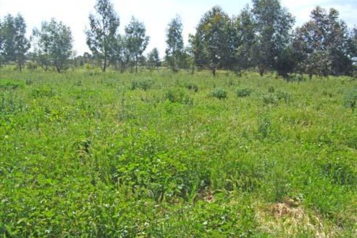 8 Dunstone Road, Kyabram