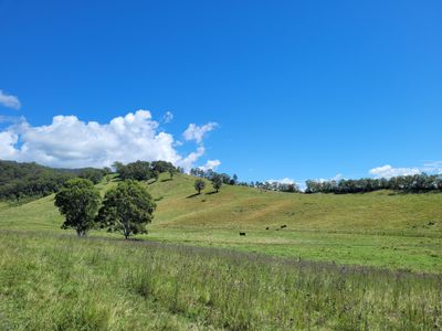 472 Neringla Road, Neringla