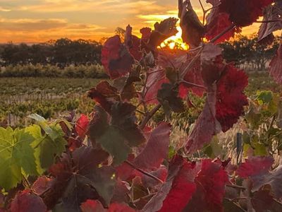 470 Northern Highway, Heathcote