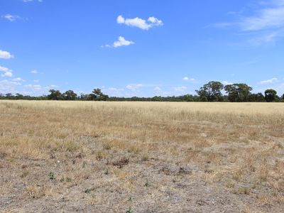 76 Trellis Drive, Heathcote