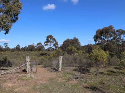 LOT 5  LOT 5  Tait Hamilton Road, Cornella