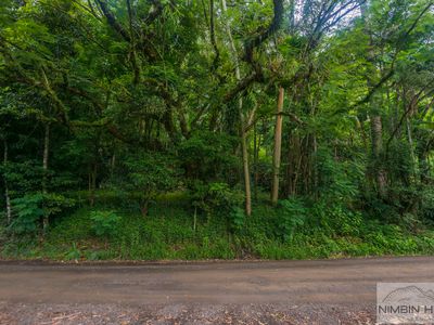 774 Terania Creek Road, Terania Creek