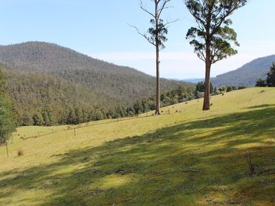 Lot 4, 100 Crosswells Road, Pelverata