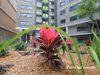 57 / 45 Bonar  Street, Arncliffe