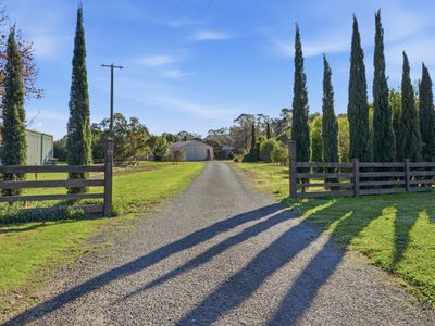 19 Huntingdale Place, Waldara