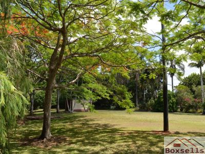 650 Maleny-Montville Road, Balmoral Ridge