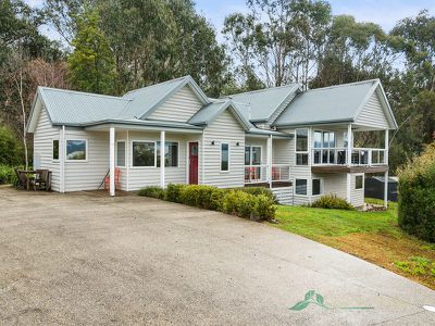 22 Fiddleback Drive, Tawonga South
