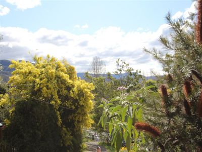 98 Moss Vale Road, Kangaroo Valley