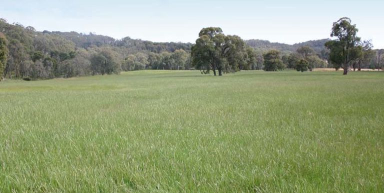 Strathbogie