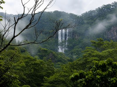 665 Left Bank Road, Mullumbimby Creek