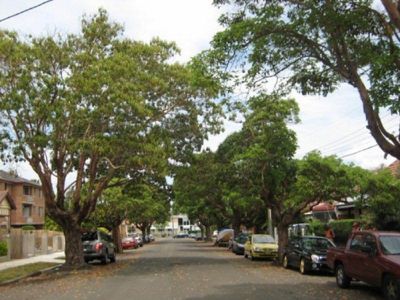 7 / 17 Woodcourt Street,, Marrickville