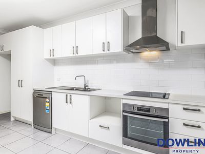 1 / 36 Royal Avenue, Medowie