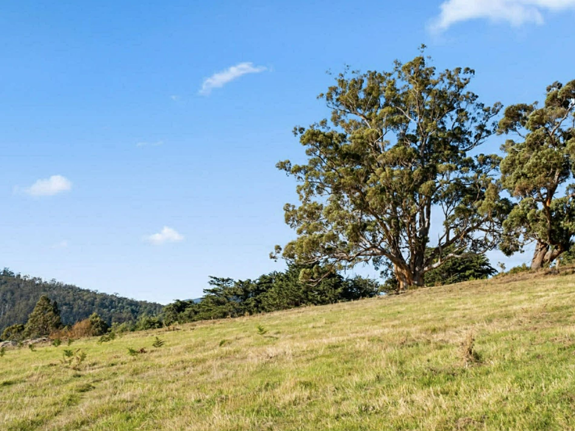 Lot 2, Direens Road, Lymington