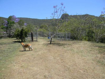 478 Moy Pocket Road, Kenilworth