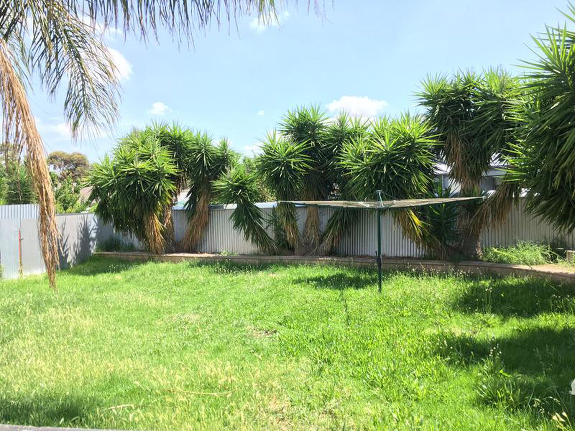 23 Andrea Avenue, Newton