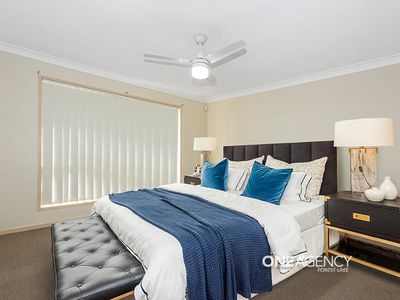 14 Arborwood Av, Springfield