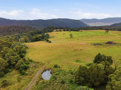 28834 Tasman Highway, Weldborough