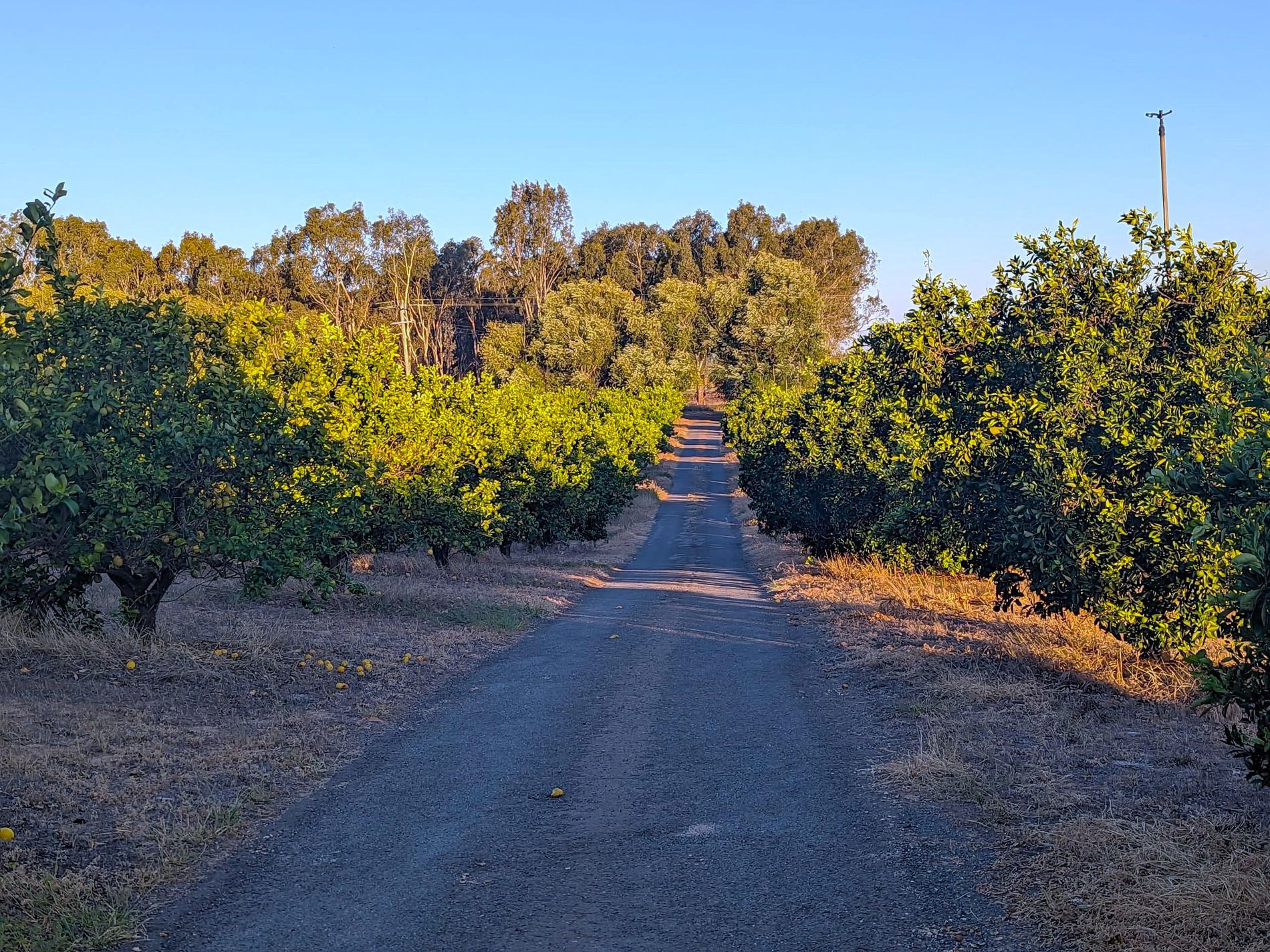 98 Quicks Road, Barooga Rob Crow & Co Real Estate