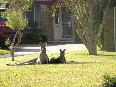 45 Whimbrel Drive, Sussex Inlet