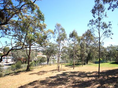 11 Timbertop Avenue, Forster