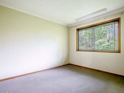 121 Neill Road, Mooloolah Valley
