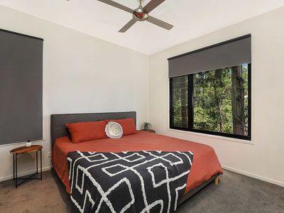 14 Birdwing Forest Place, Buderim