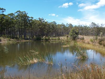11 Twin Rivers Lane, Grove