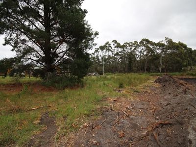12 Wilsons Road, Southport