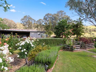165 Campagnolos Road, Mansfield