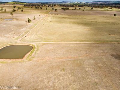 Parkes