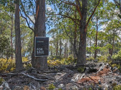 22 Arthurs Lake Road, Wilburville