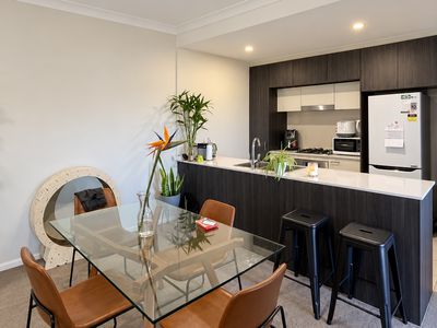 Mount Druitt