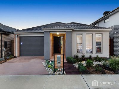 6 Wenn Avenue, Clyde North