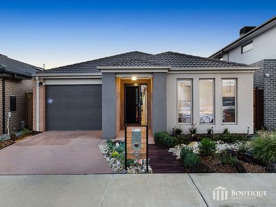 6 Wenn Avenue, Clyde North