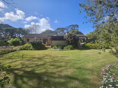 167 Williams Road, Millicent